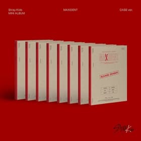스트레이 키즈 (Stray Kids) - 미니앨범 [MAXIDENT] (CASE ver.)