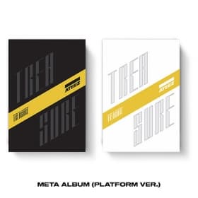 에이티즈 (ATEEZ) - [TREASURE EP.FIN : All To Action] META ALBUM (Platform ver.)