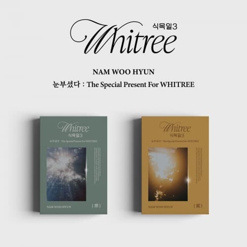 남우현 (Nam Woohyun) - 눈부셨다 : The Special Present For WHITREE (식목일 3 Live Ver. / 랜덤)