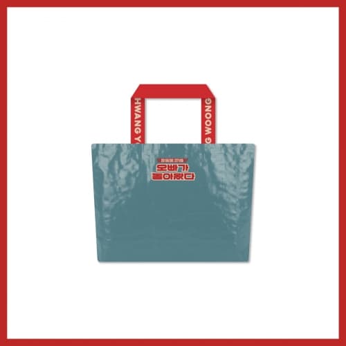 HWANG YOUNG WOONG <오빠가 돌아왔다> REUSEALE BAG